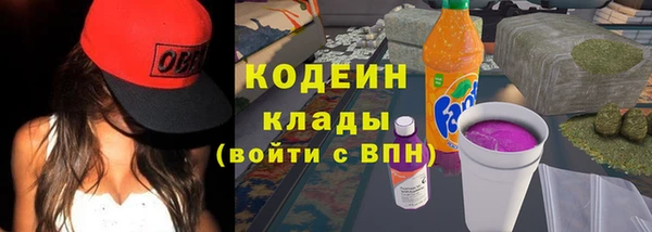 мдпв Верхний Тагил