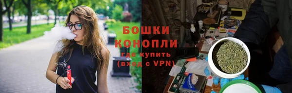 шишки Верея