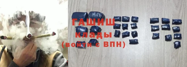 шишки Верея