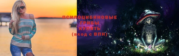 шишки Верея