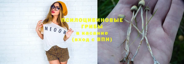таблы Горняк