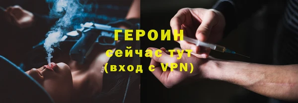 шишки Верея