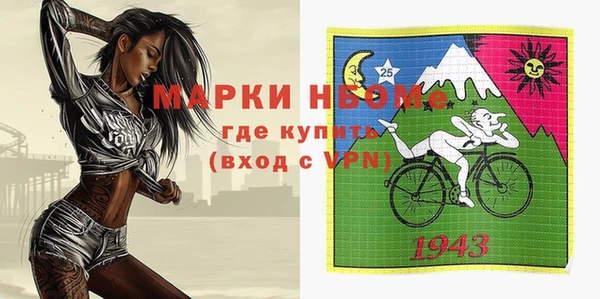 шишки Верея