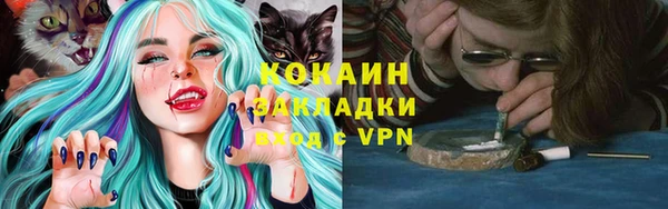 шишки Верея
