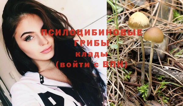 мдпв Верхний Тагил