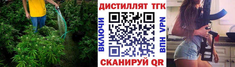 Купить где  Козьмодемьянск  Дистиллят ТГК THC oil 