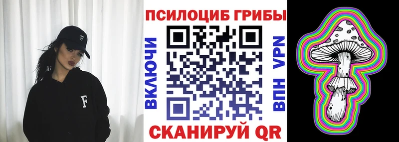Галлюциногенные грибы Psilocybe  Купить где  Козьмодемьянск 